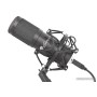 Микрофон Genesis Radium 400