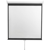 Проекционный экран Digis Optimal-D 248x249 DSOD-1107